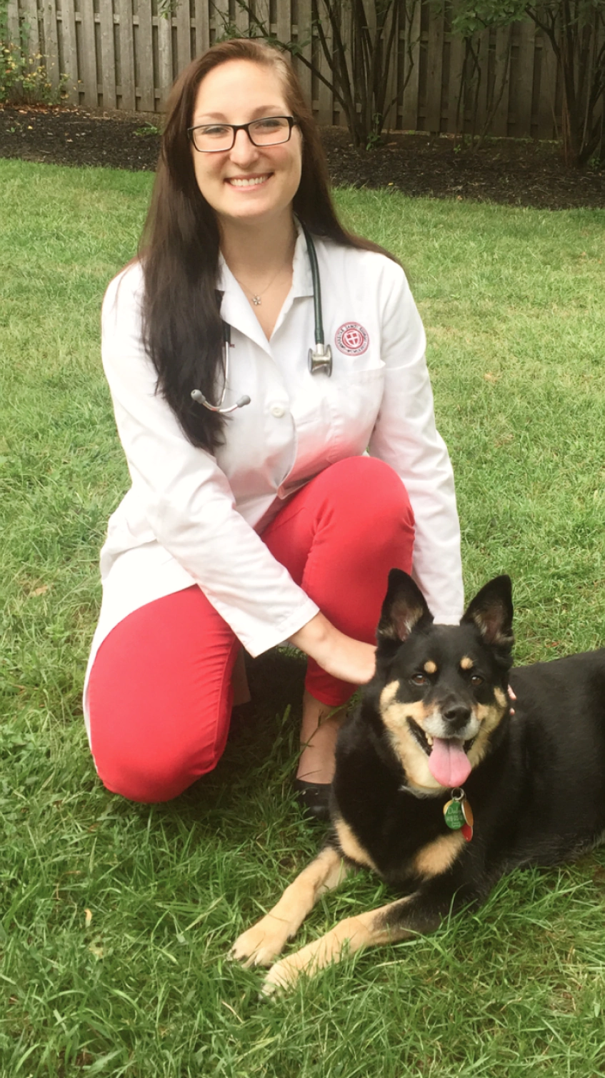 Home_Your_Pet's_Advocate_1 Kimberly Drake, vet in Aurora, CO